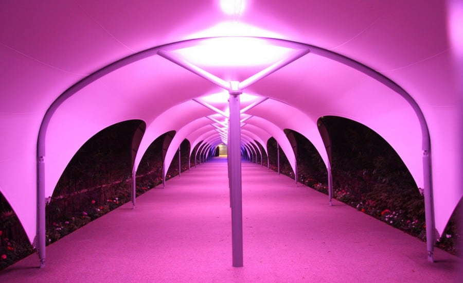 Colourful LED lights under a walkway fabric canopy 